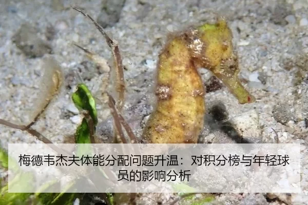 梅德韦杰夫体能分配问题升温：对积分榜与年轻球员的影响分析